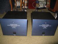 CANARY  AUDIO ca 303 signature monoblocks